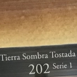 1/2 GODET ACUARELA 'SENNELIER 202' TIERRA SOMBRA TOSTADA