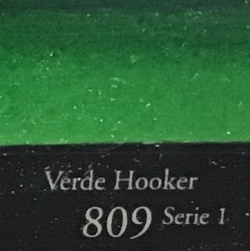 1/2 GODET ACUARELA 'SENNELIER 809' VERDE HOOKER