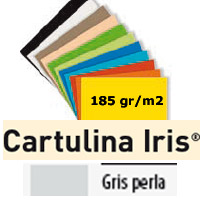 CARTULINA GRIS PERLA 185gr. 50x65 cm