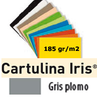 CARTULINA GRIS PLOMO 185gr. 50x65 cm