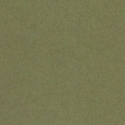 CARTULINA VERDE SAFARI 185gr. 50x65 cm
