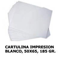 CARTULINA IMPRESION BLANCO 185gr. 50x65 cm