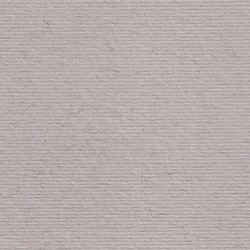 CARTULINA <b>'LR' 220gr. Gris</b> 50x70 cm.