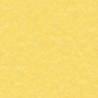 PAQUETE 25 TARJETAS 10,5x21 PROFIL OCRE SIMPLES