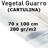 CARTULINA VEGETAL 280gr. 70x100 cm